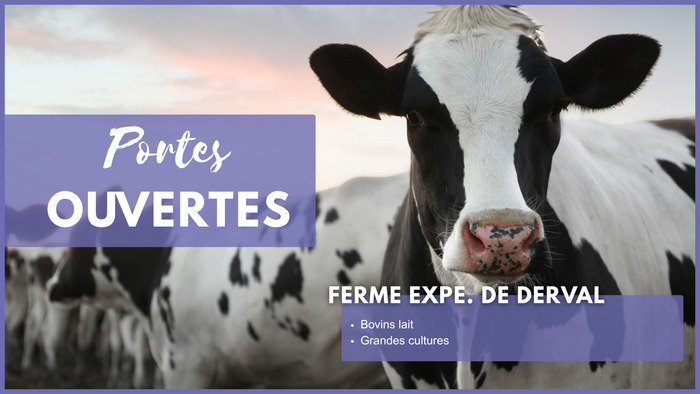 Portes ouvertes - Formations en élevage bovins lait et en grandes cultures (44) Ferme expérimentale de Derval (44) Derval