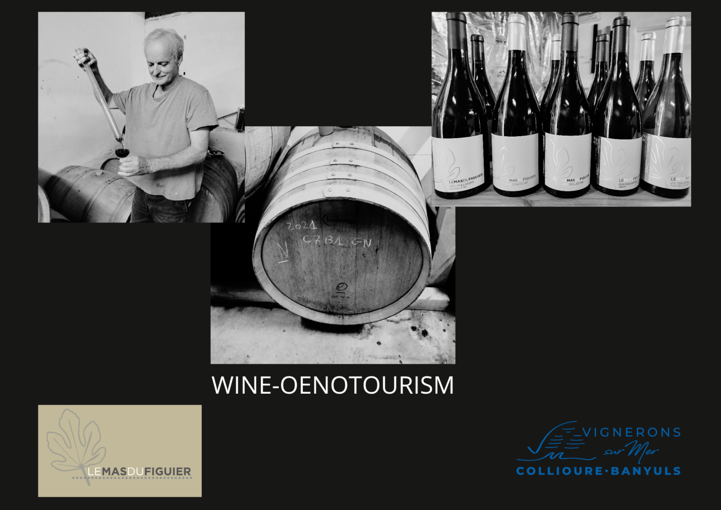 PRESENTATION ET DEGUSTATION DES CUVEES DU MAS DU FIGUIER