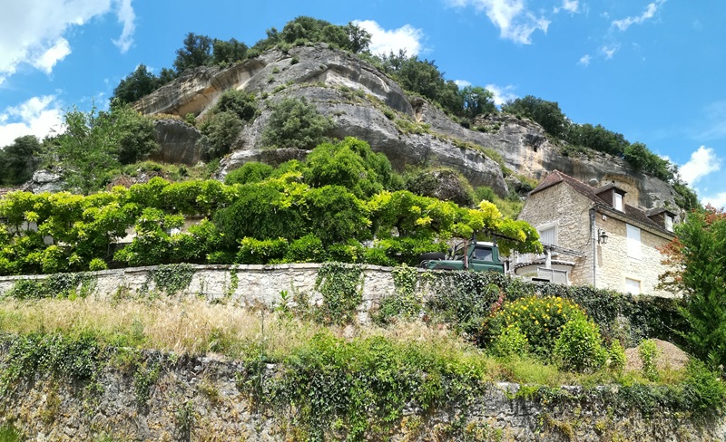 Printemps de la biodiversité La flore sauvage des Eyzies
