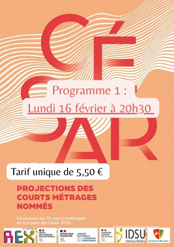 Programme de Court-métrages, Cinéma Le Rex, Châtenay-Malabry