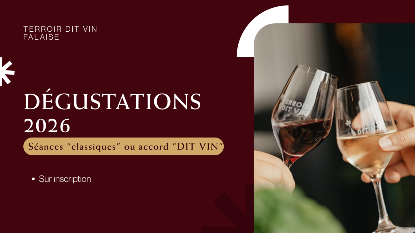Programme de dégustation | Cave Terroir dit Vin