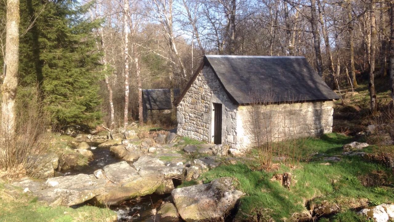 Projection et deébat sur le thème des abeilles Pérols-sur-Vézère 2026-04-18 Projection et deébat sur le thème des abeilles