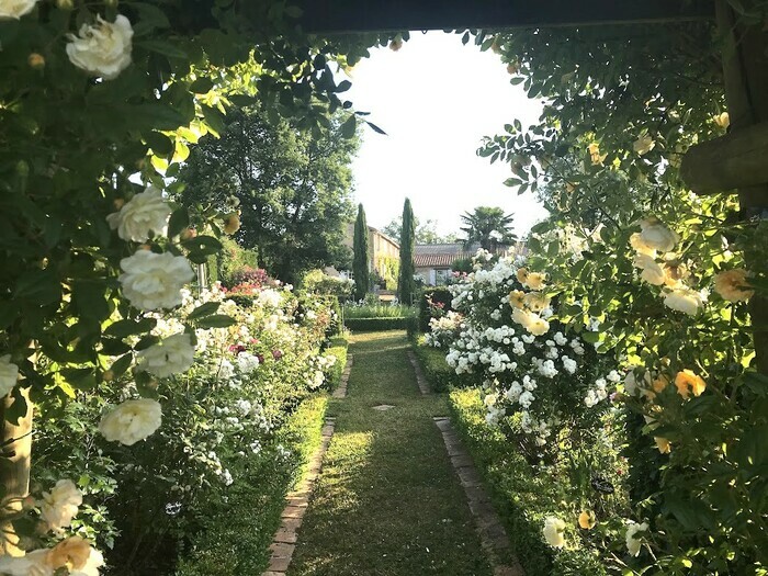 Promenade découverte Jardin de Montjoie 85320 Sainte Pexine Sainte-Pexine