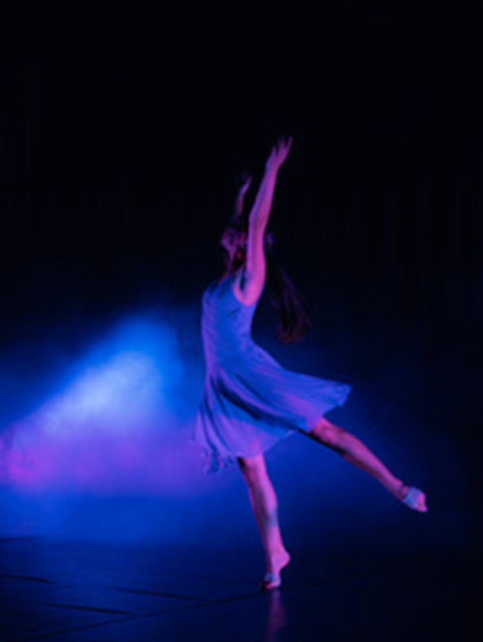 Quand la danse entre au musée Musée Gaston Couté Meung-sur-Loire