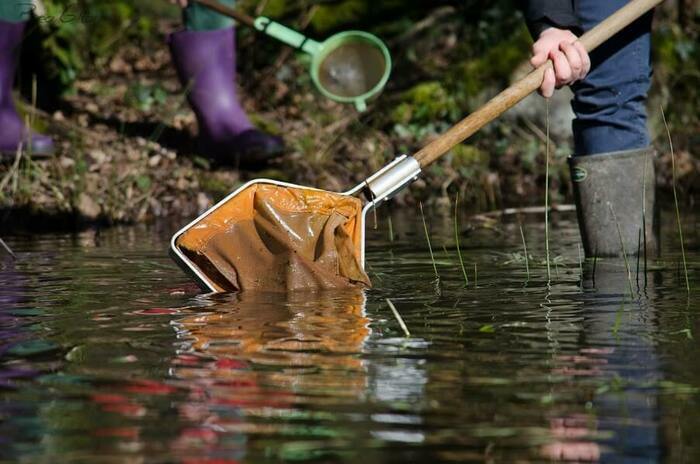 Quand la mare se réveille Parking de la Maison de la Rivière et du Paysage Athis-Val-de-Rouvre