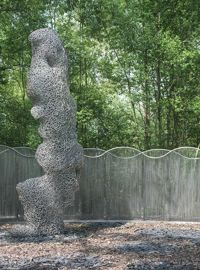 Quand le jardin chinois rencontre la France: le regard du photographe Bowen Hou Bureau d'art et de recherche | Qsp galerie Roubaix