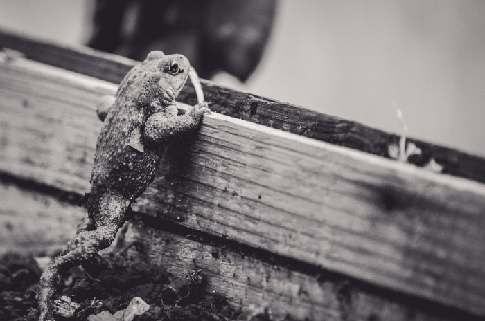 Que de vie dans l'eau ! Parking de la Maison de la Rivière et du Paysage Athis-Val-de-Rouvre