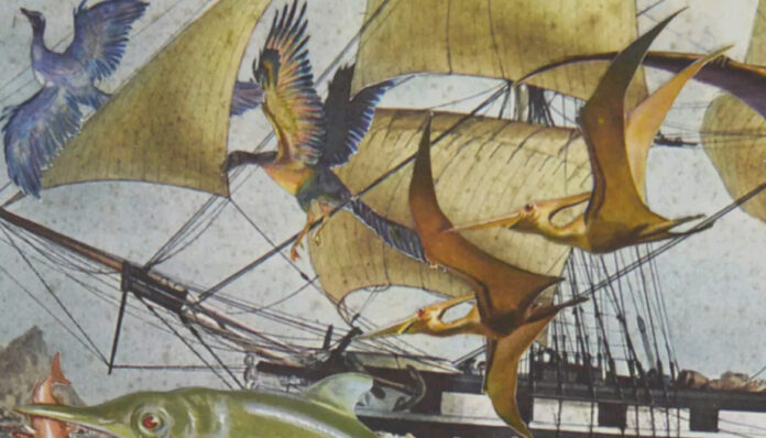 quentin montagne monts et merveilles