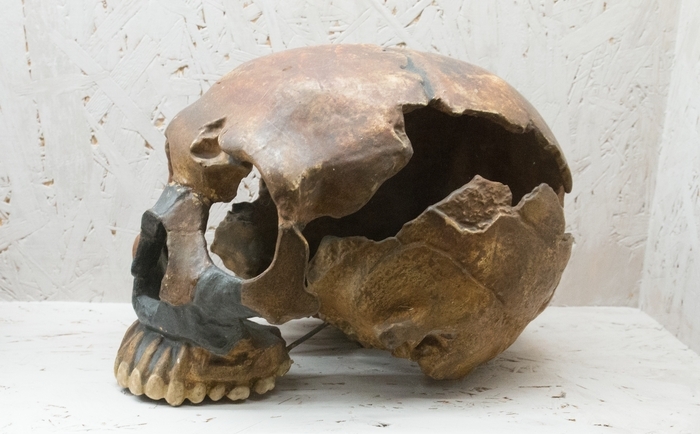 Qui était Néandertal ? Café des Champs Libres Rennes