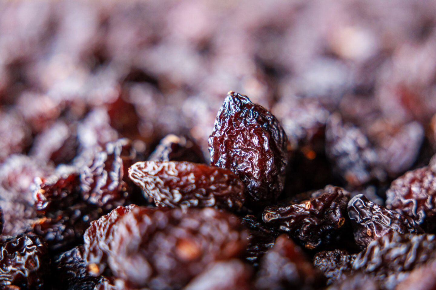 Raconte-moi l’histoire du pruneau 1602 Avenue de Bordeaux Allez-et-Cazeneuve 2026-03-28 Raconte-moi l'histoire du pruneau