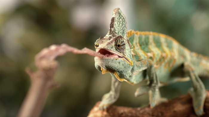 Raconter la bio-inspiration : de la recherche au grand public Lumen - Université Paris-Saclay Orsay