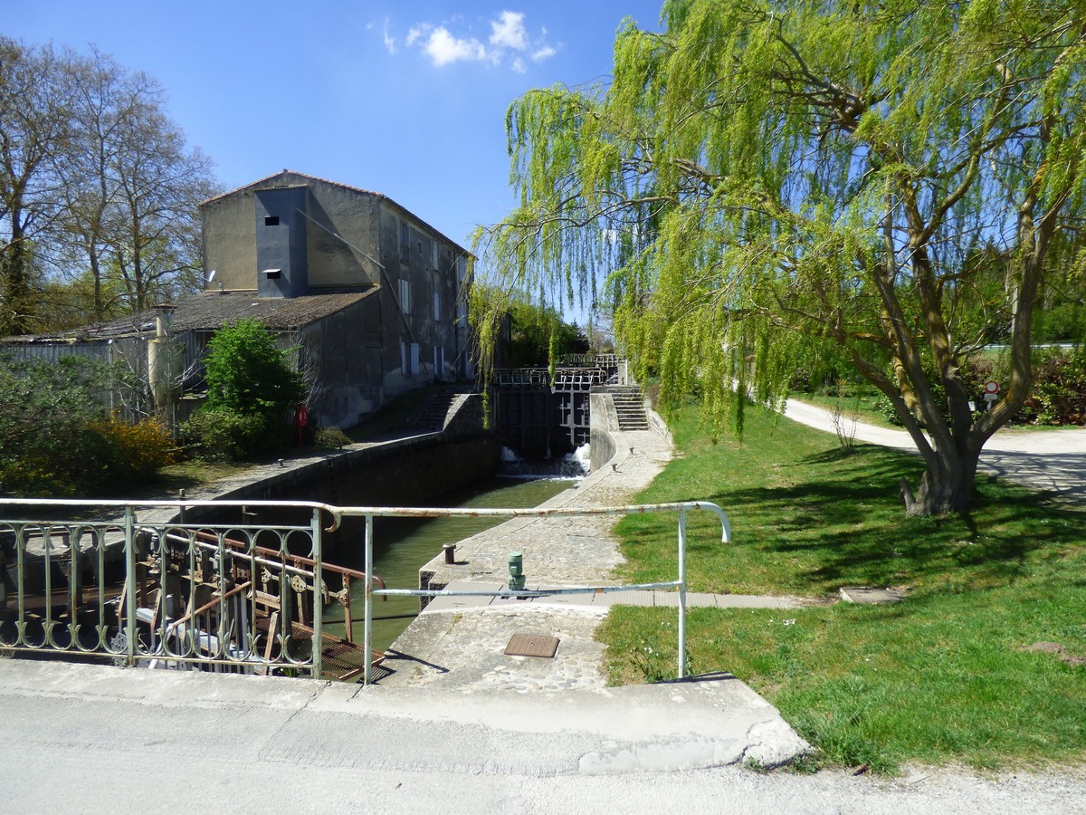 RALLYE DU CANAL DU MIDI EN AVIRON ÉTAPES 3 ET 4