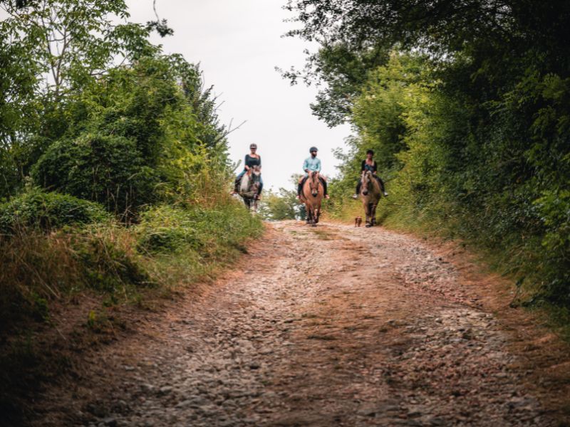Rallye équestre et randonnée pédestre