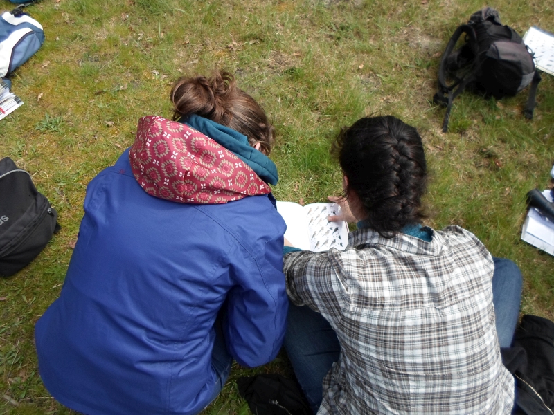 Rallye nature Les insectes