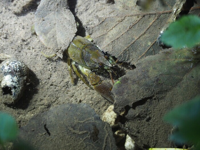 Rand’eau nocturne Parking de la salle des fêtes Rand'eau nocturne Parking de la salle des fêtes