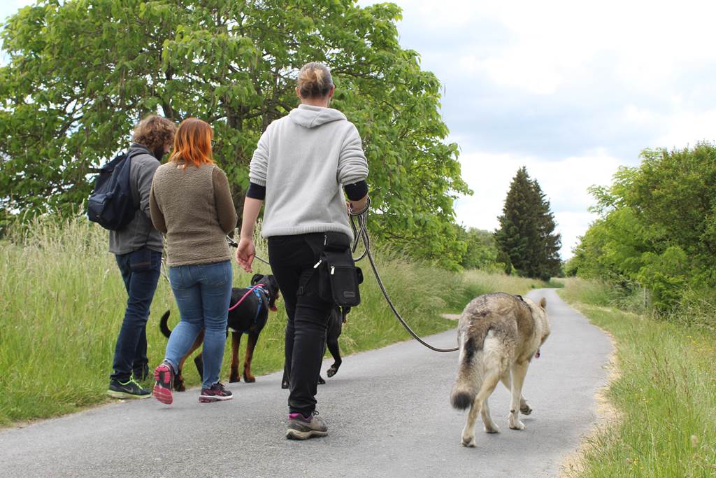 Rando canine et marché artisanal Place Cornay 2026-05-24 Rando canine et marché artisanal