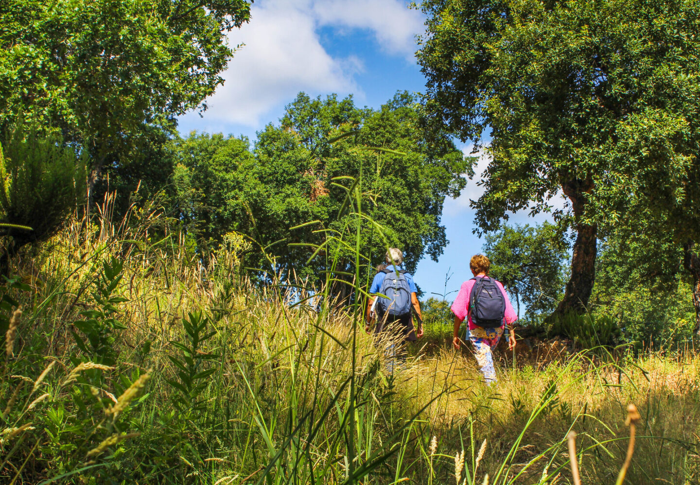 RANDO DECOUVERTE PAYSAGES ET PATRIMOINE EN MONTAGNE