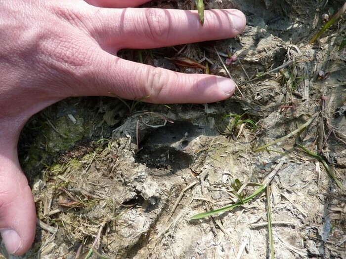 Rando traces & empreintes Parking de la chapelle Notre-Dame-de-la-Pitié à Ménil-Jean Putanges-le-Lac