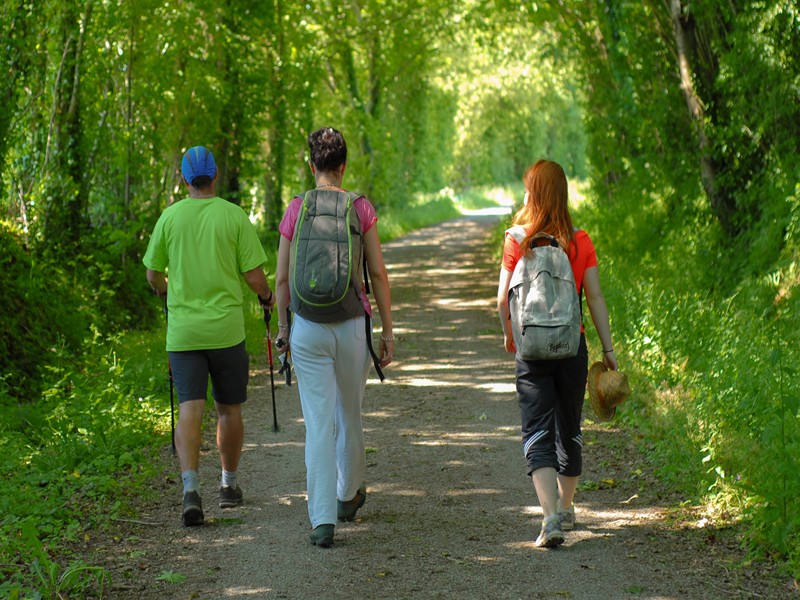 Randonnée pédestre Fête des Jonquilles à Le Tourneur