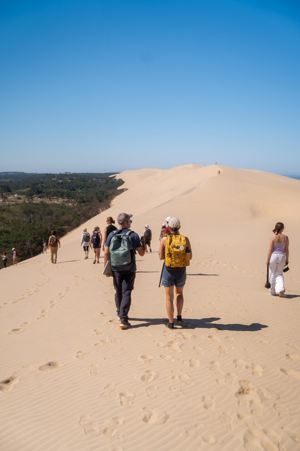 Randonnée sur la crête de la Dune du Pilat