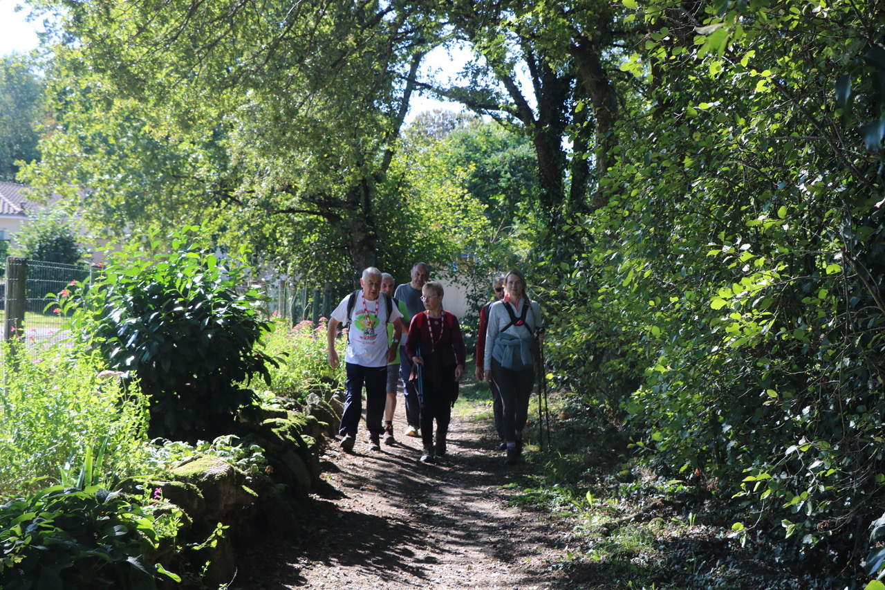 Randonnées pédestres La Bessinaude
