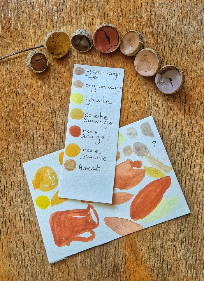 Réaliser ses gouaches naturelles à partir de plantes Le 20 mille