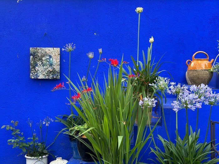 Réflexion sensible sur la notion de regard dans un espace clos Le Jardin Bleu Sorges et Ligueux en Périgord