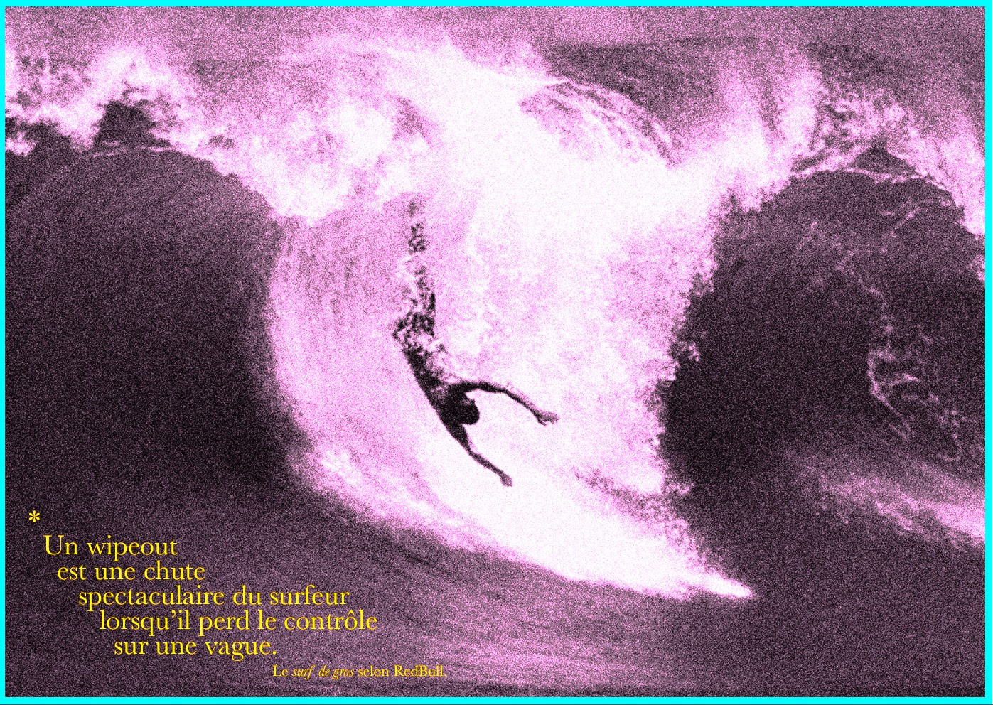 Rencontre avec le Collectif BallePerdue