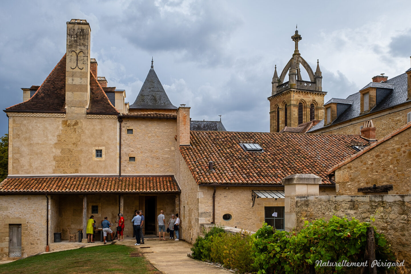 Rencontre en musique autour du film Terra Nostra Châteaux en fête