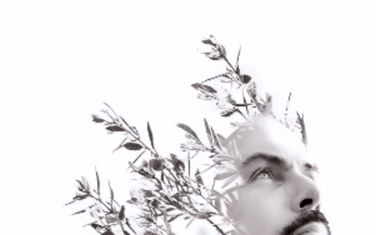 Rencontre lecture avec Thomas Dupray Bibliothèque Maurice Genevoix  Paris