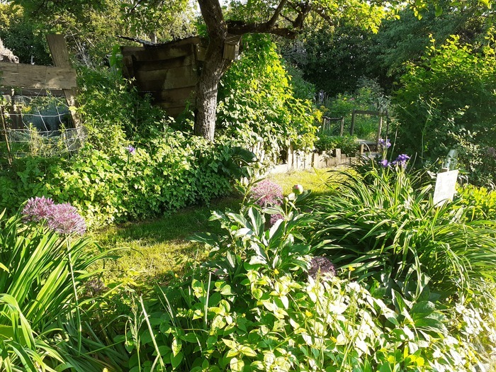 Rendez vous au Jardin des Grandes oreilles Jardin des grandes oreilles Pirmil