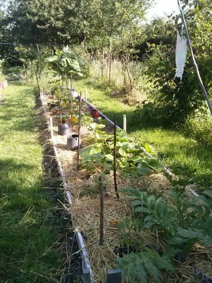 Rendez vous aux jardins Natur'Pom Nortkerque