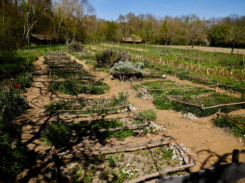 Rendez-vous nature À la découverte de la nature