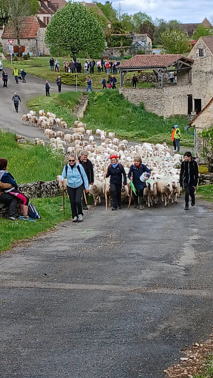 Repas de la Transhumance