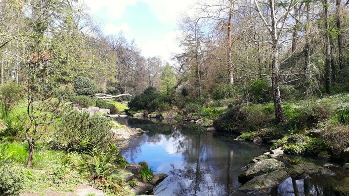 Réveil printanier au Parc de la Gaudinière Parc de la Gaudinière