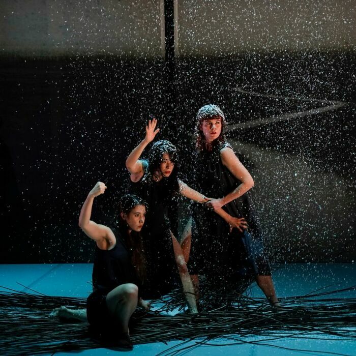 Ronces Sémaphore - Espace Beaulieu Nantes