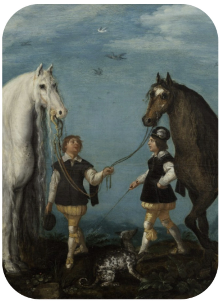 ROOTS Abby Kortrijk Courtrai