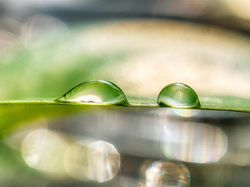 Salon Les artisans du bien-être