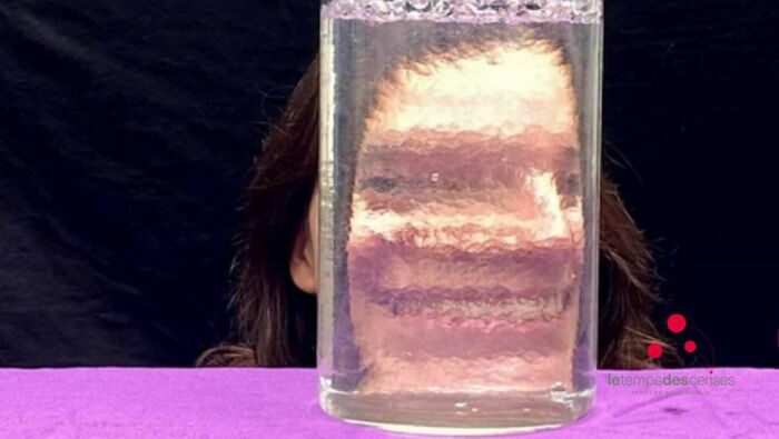 Samedi Science : effervesciences Le Temps des Cerises Issy-les-Moulineaux