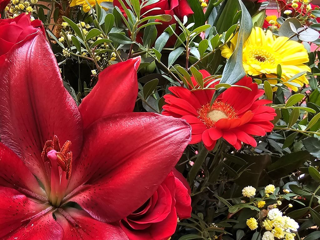 SANT JORDI L’ITINÉRAIRE DU LIVRE