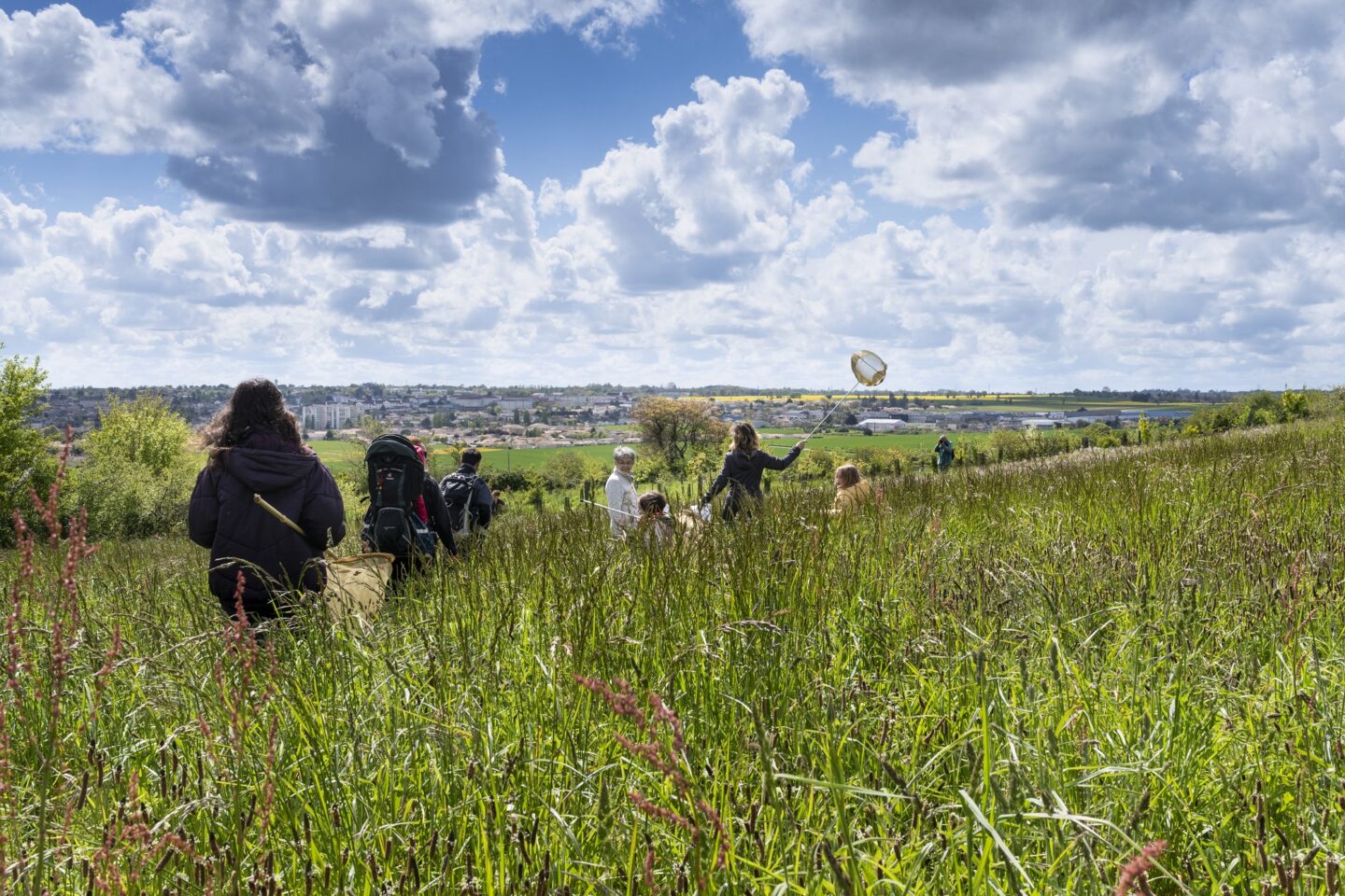 Sciences en famille les amphibiens