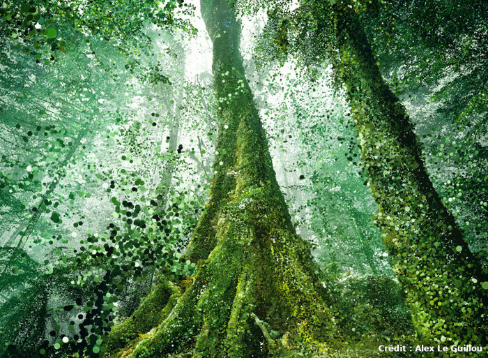 [SCROLL !] Monde végétal