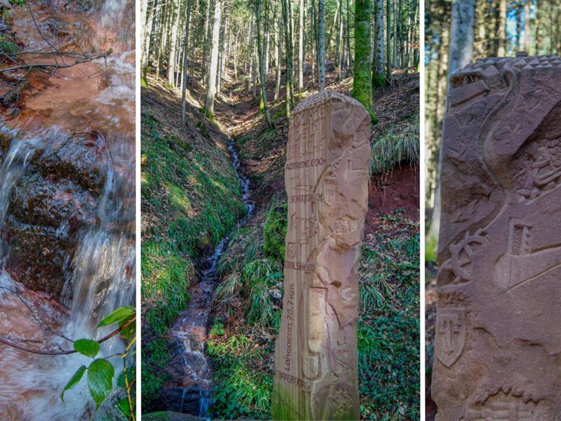 Sentiers Plaisir Histoire et nature autour des sources de la Bruche