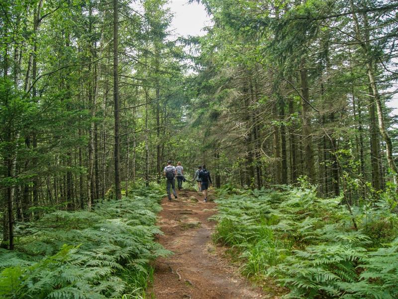 Sentiers Plaisir Les panoramas d’Herbach à la Mullerplatz Rue de la Gare Russ 2026-08-13 Sentiers Plaisir Les panoramas d'Herbach à la Mullerplatz