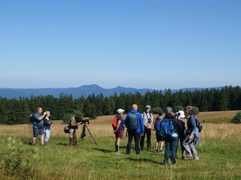 Sentiers Plaisir Observation des oiseaux