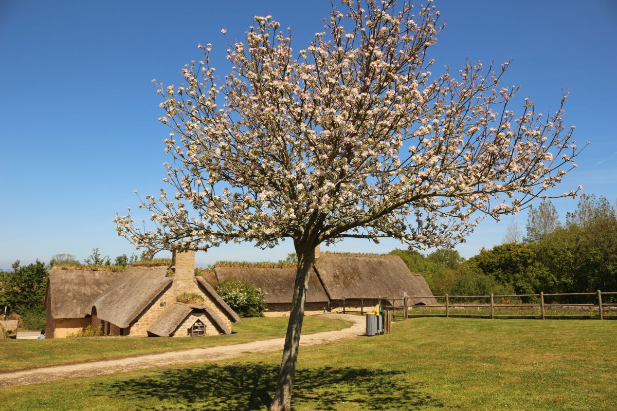 Sieste poétique 5 rue Marie Ravenel Vicq-sur-Mer 2026-07-23 Sieste poétique