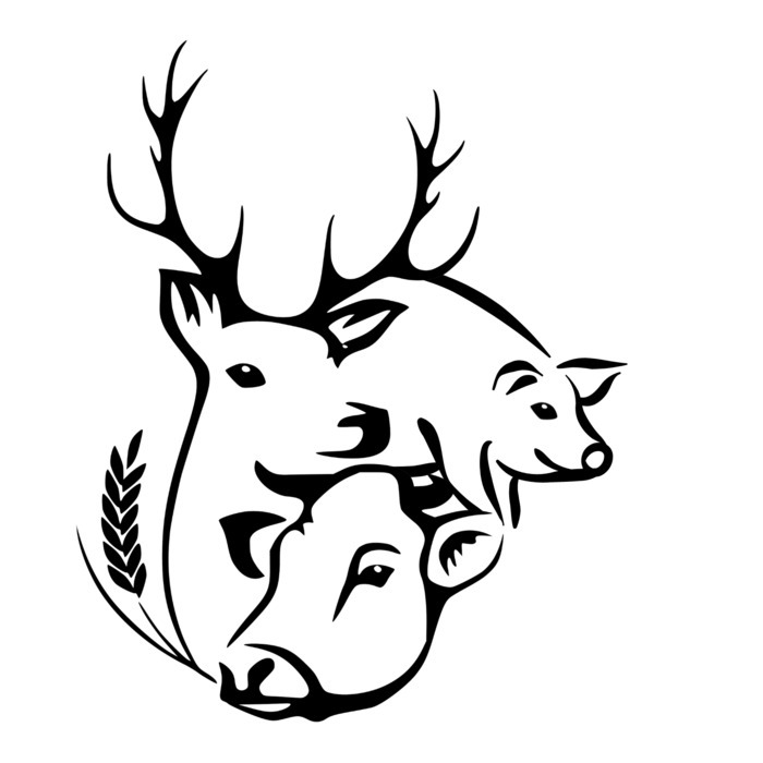 Soirée guinguette à la ferme Ferme de Villaine Pontigné