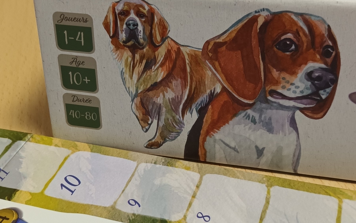 Soirée jeux à la Maison de l’animal Maison de l'animal Paris