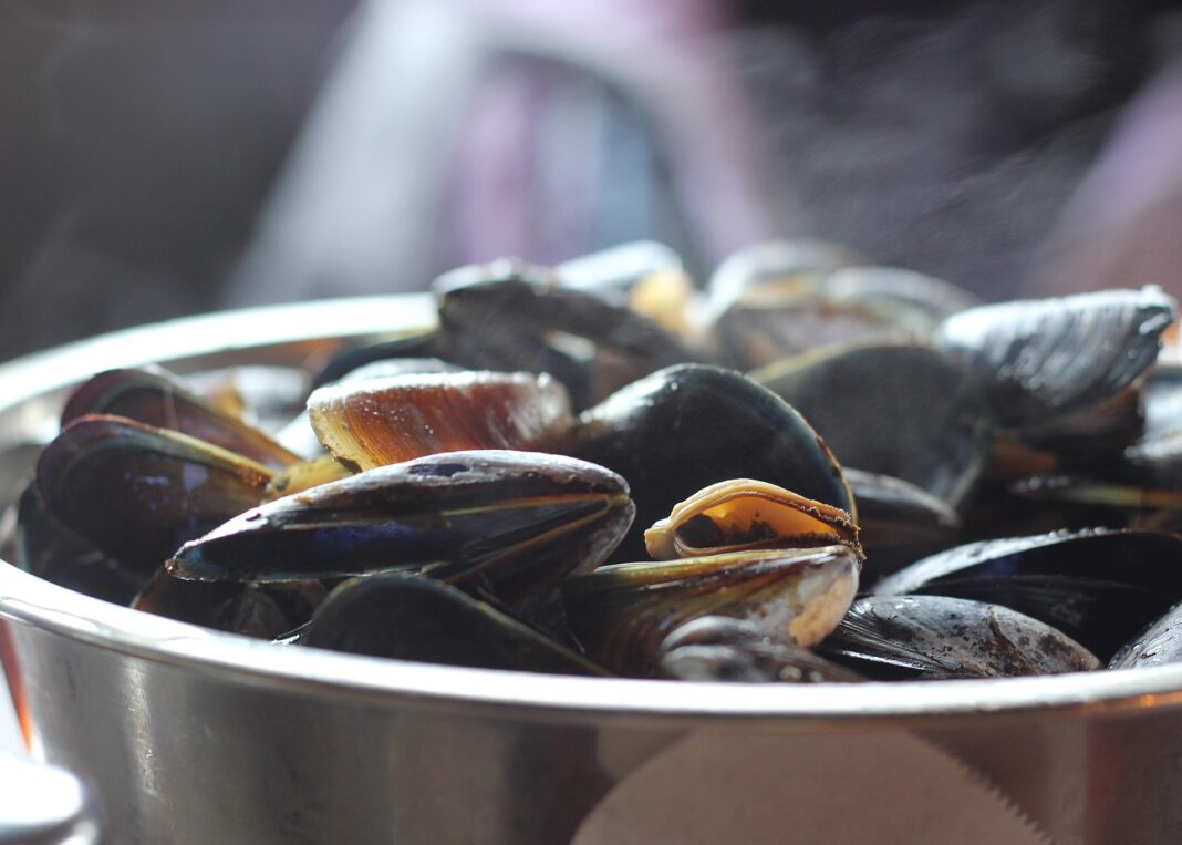 Soirée moules frites Levet