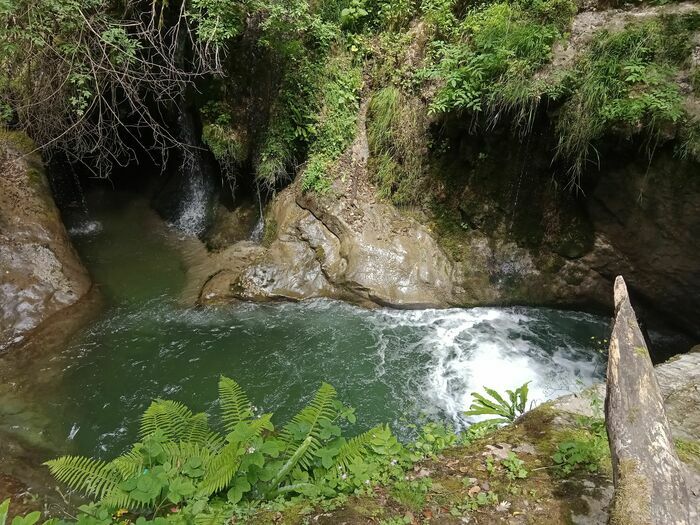Sortie découverte de la biodiversité des canyons aux Ecouges Canyon des Écouges